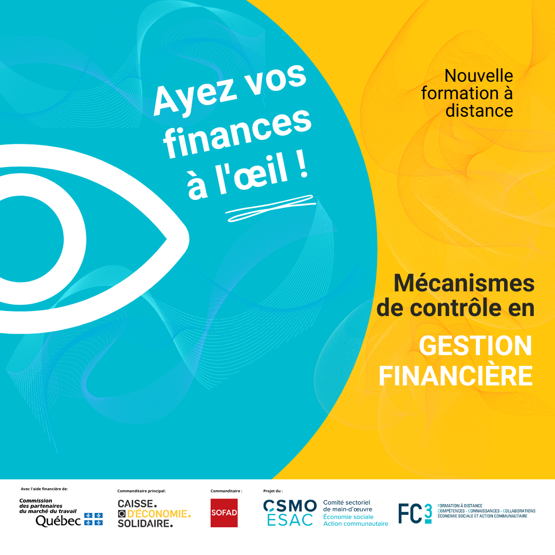 Mécanismes de contrôle en gestion financière