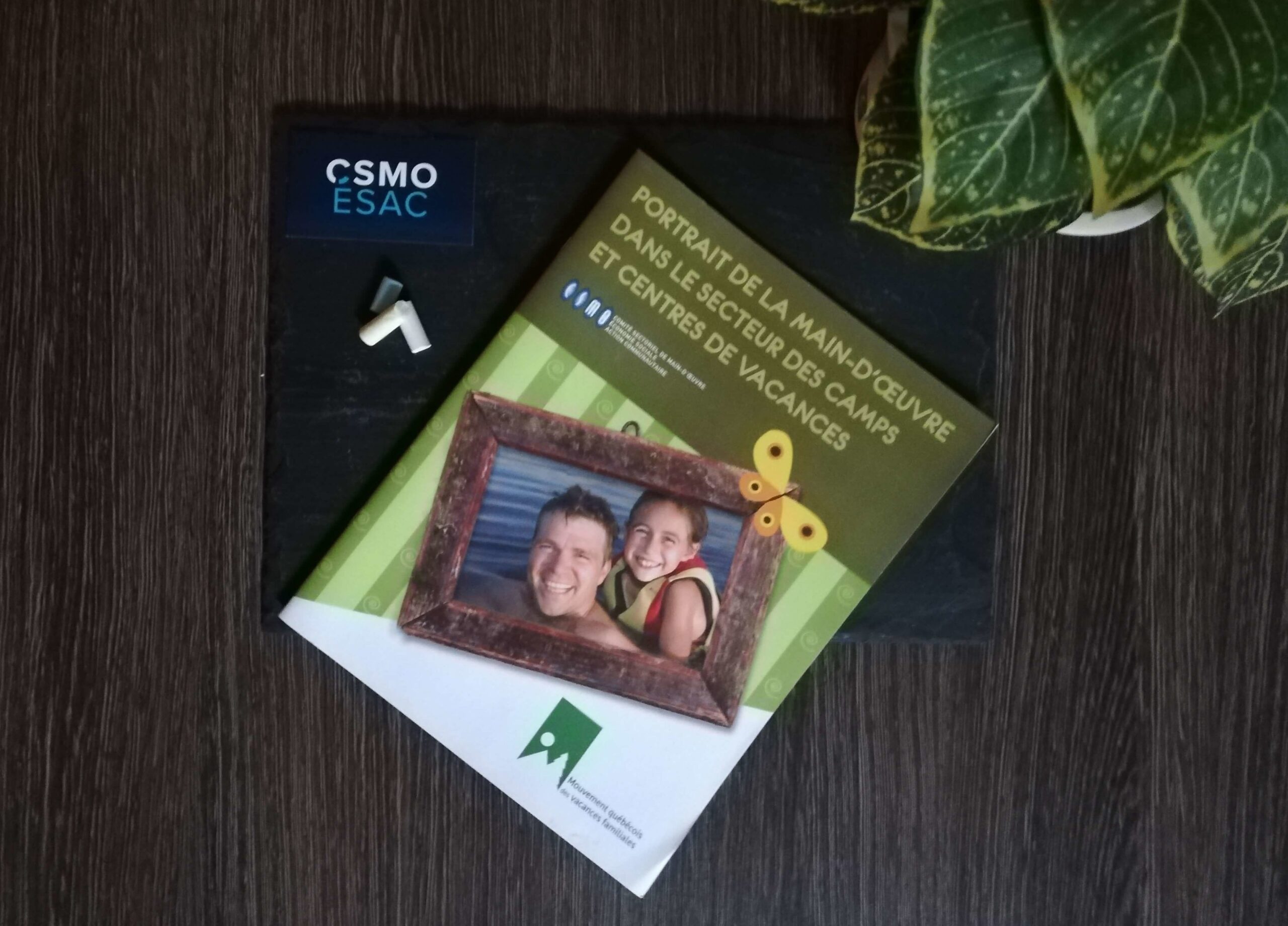 Portrait de la main-d’oeuvre dans le secteur des camps et centres de vacances