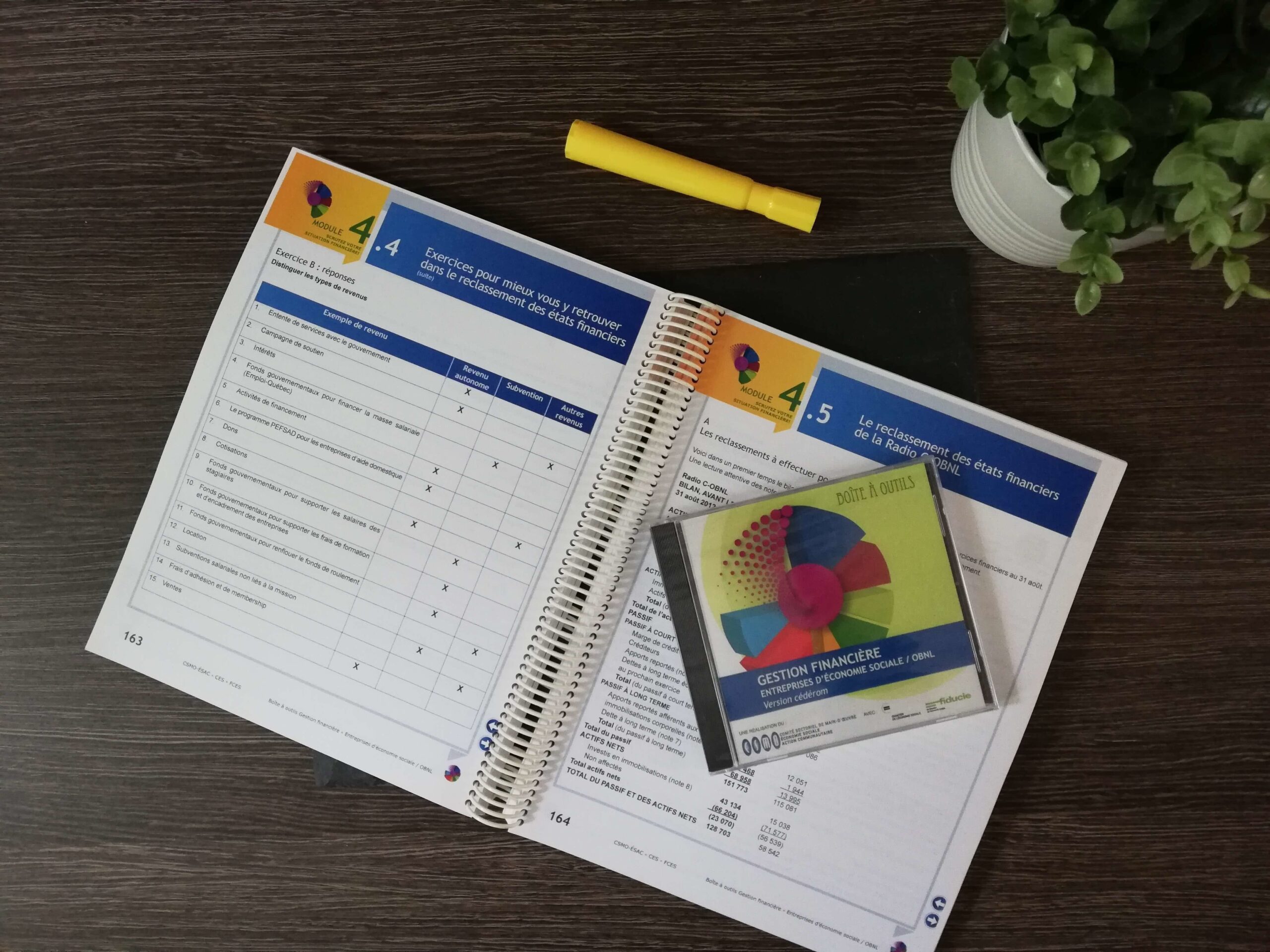 Gestion financière – OBNL