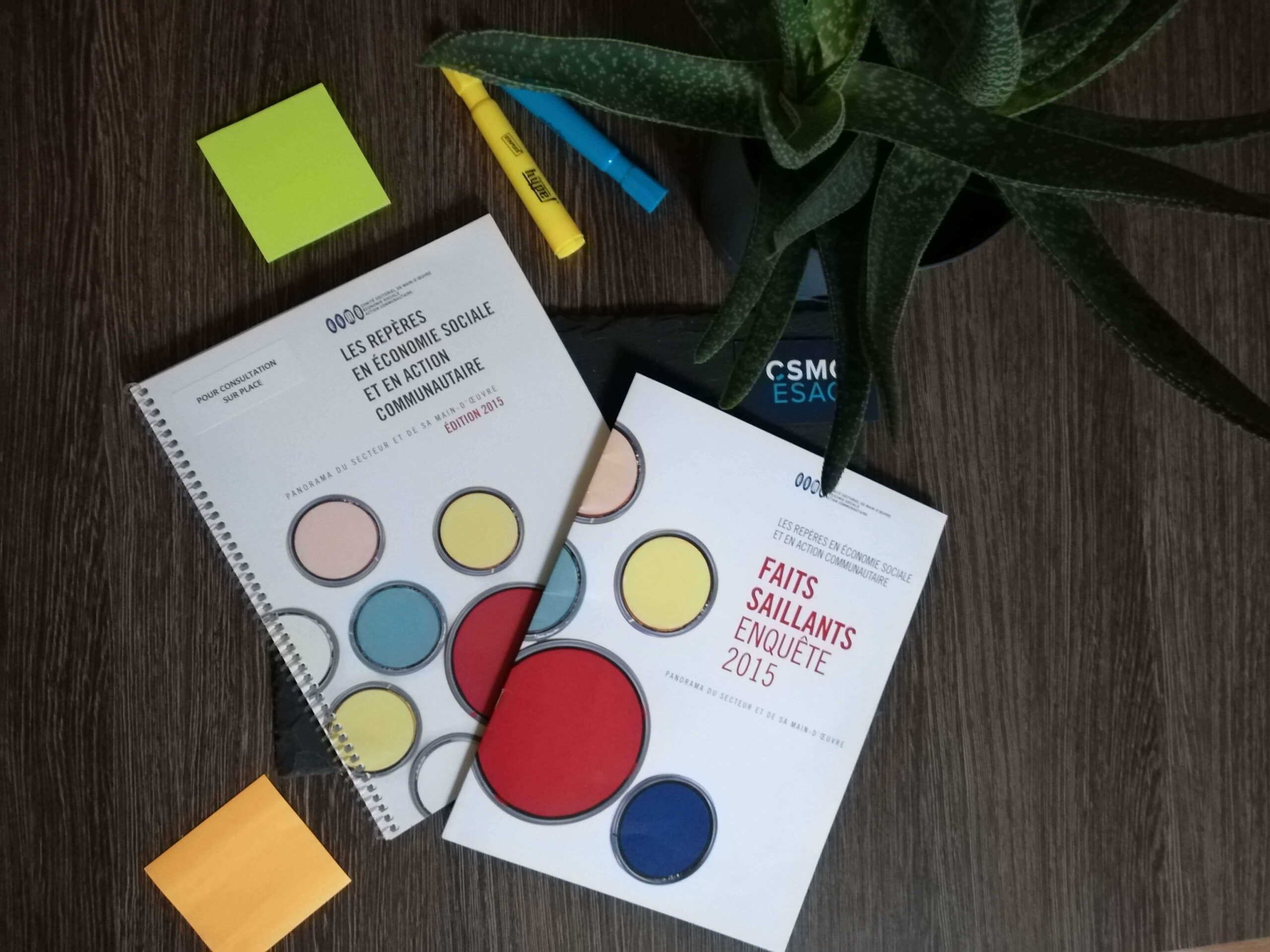 Faits saillants de l’enquête nationale Les Repères, édition 2015