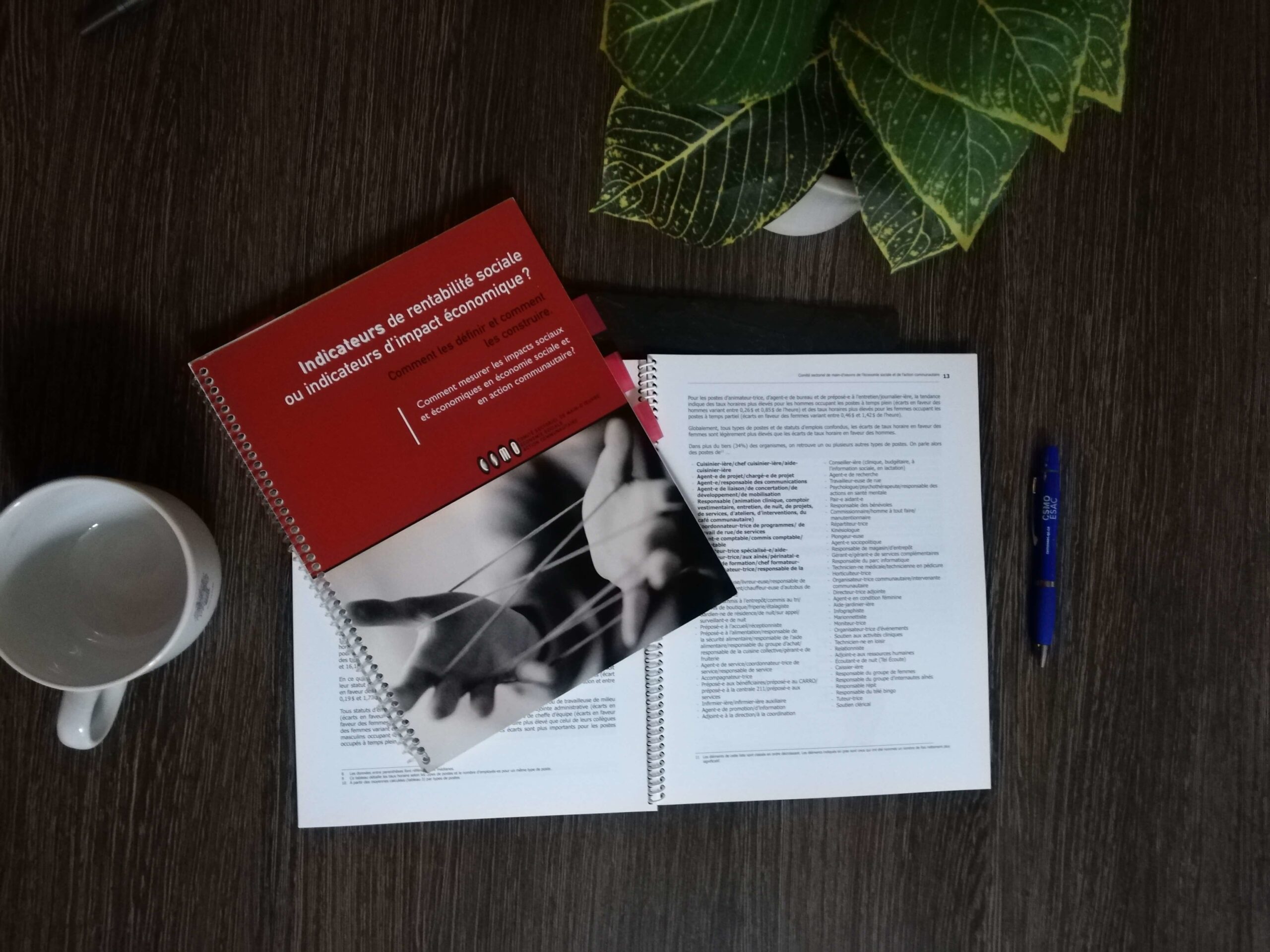 Indicateurs de rentabilité sociale ou indicateurs d’impact économique?