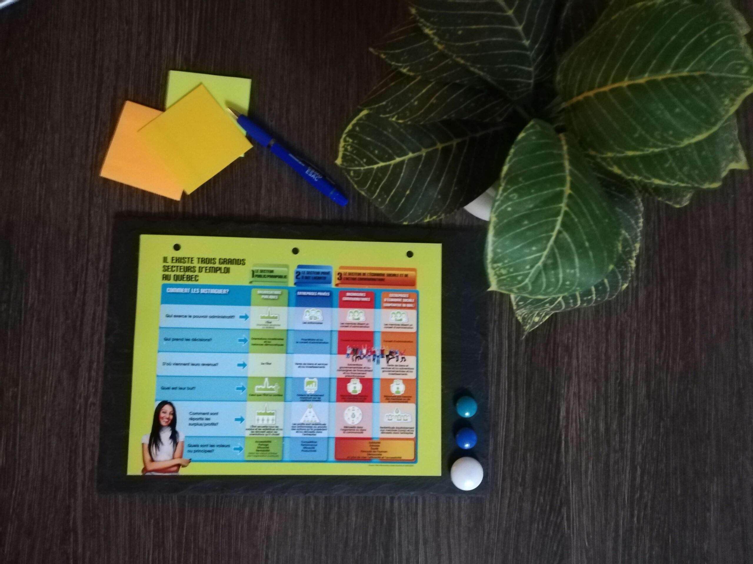 Les 3 secteurs d’emploi